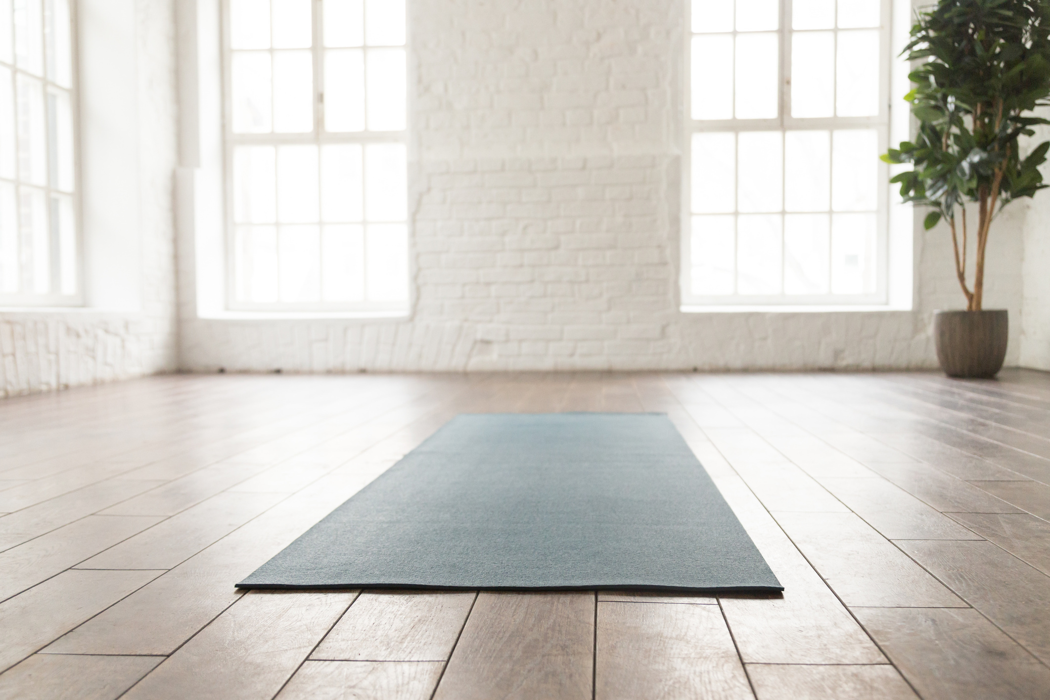 Empty room in yoga studio, unrolled yoga mat on floor